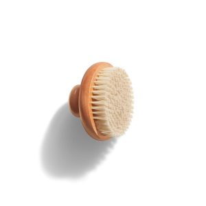 Free Dry Body Brush