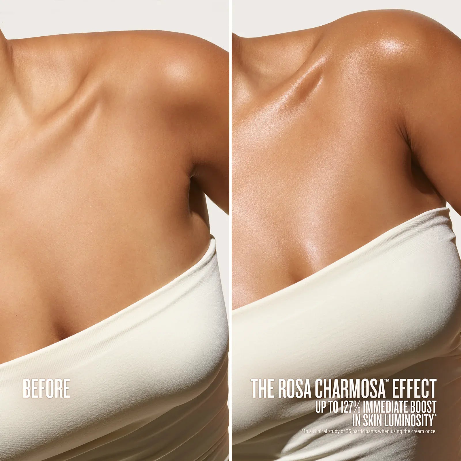 Rosa Charmosa™ Dewy Cream - Image 2