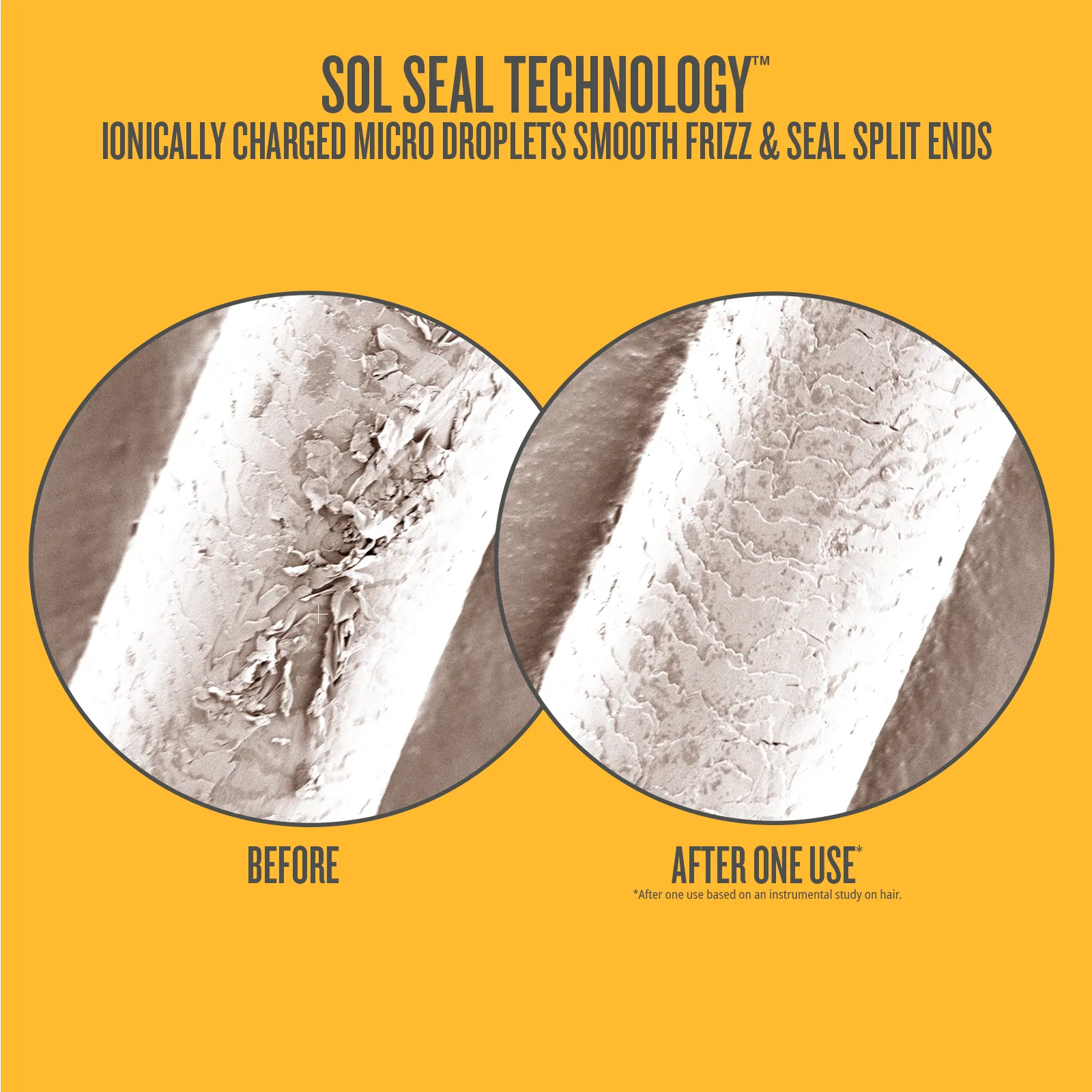 Ultimate Smoothing Haircare Ritual - Image 4